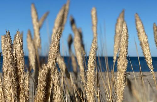 Strandgaard - Foto 19