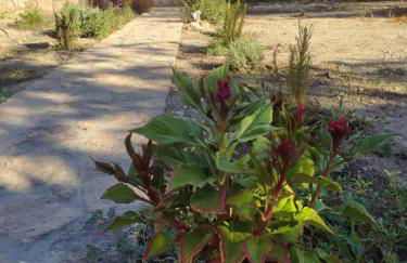 Latmos 1860 - Foto 70