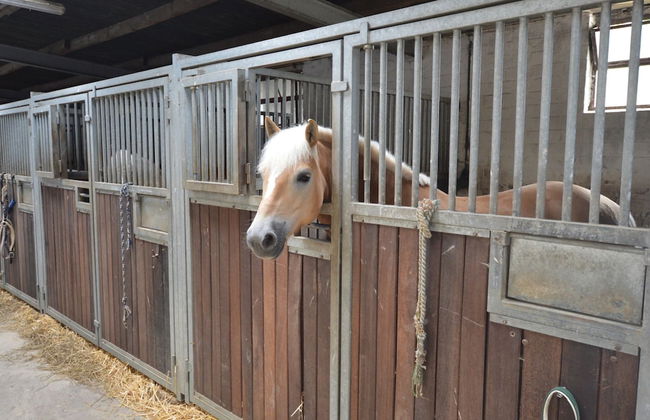 Farmstay Comfort in Juchen - Foto 21