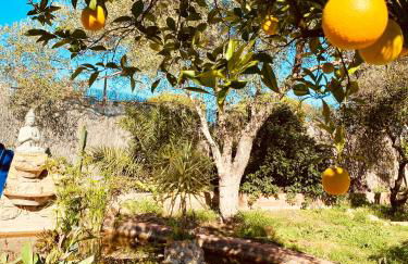 La Casita del Cactus - Casa de campo con piscina - Photo 8
