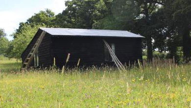The Old Apple Shed cosy heated cottage in a meadow close to the charming village of Bethersden - Foto 2, Garden