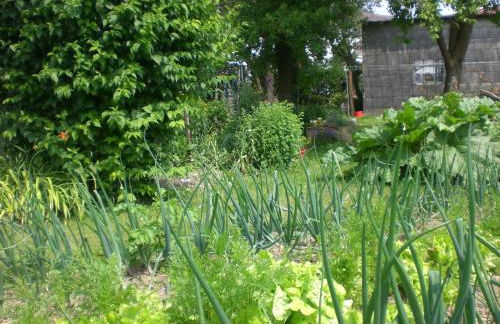 Ferienhof An der Lay - Foto 19