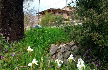 Alma-Maroon Klara & Rachel - Photo 36