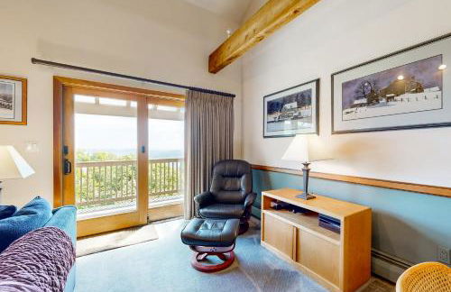 Okemo Trailside 36E - Photo 6