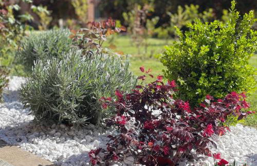 Il Casalone - Foto 24