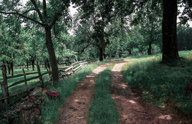 Doppelhaushalfte, Zingst - Foto 13