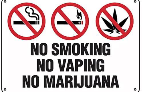 Little Cute Home - Foto 6