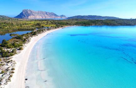 Olivastro Apartment Murta Maria - Foto 18