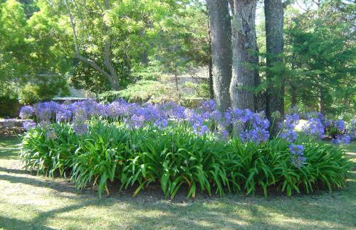 Solar Do Magoito - Foto 16