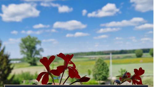 Ferien- und Messewohnung am Ponyhof Nürnberg - Foto 4