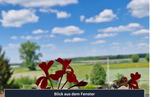 Ferien- und Messewohnung am Ponyhof Nürnberg - Foto 4