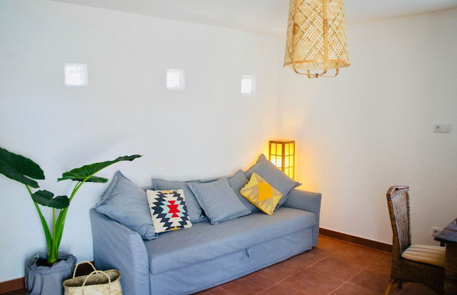 João Jungle - Foto 33