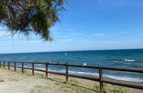 CASA NOAH a 250m de la playa NUEVO - Photo 25