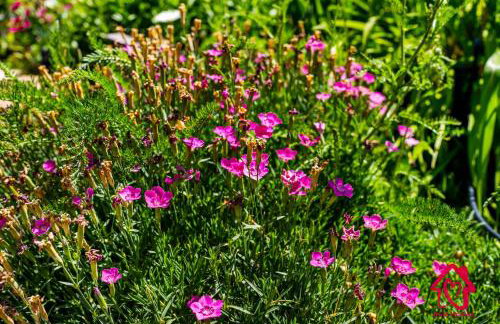 The Rose Garden Estate with Swim Spa - an Irvie Home - Foto 61