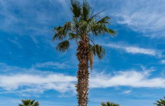 La Terraza Azul - las terrazas de la torre - regio murcia - Foto 53