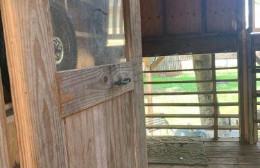 Explore Austin & San Antonio with friends & family - Foto 16