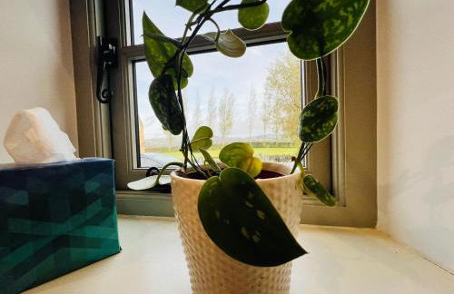 Peace & Tranquillity - Breathe Nature & Star Gaze - Photo 57