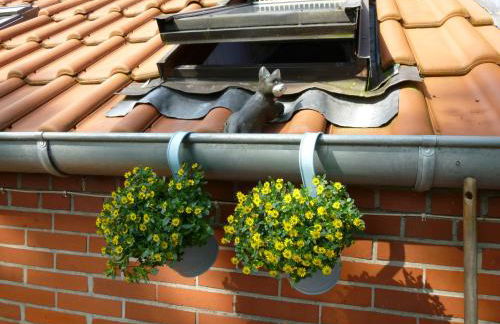 Fewo Gerda Gerdes - Foto 4