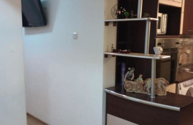 Iosif House RGC 1 Reșița - Photo 2