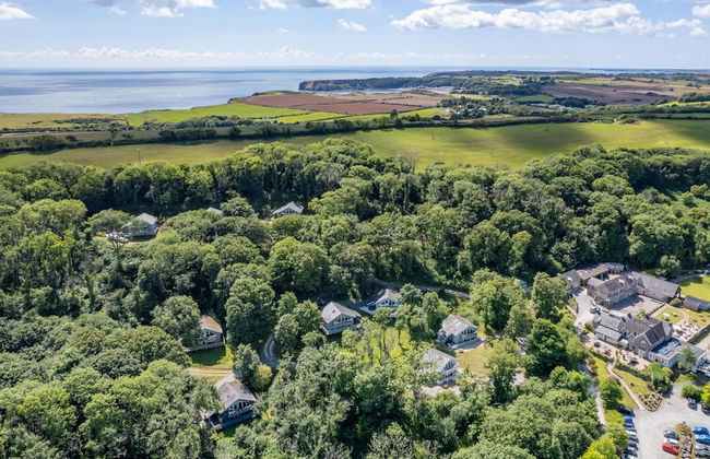 Lodge 5 Longbury - Luxury Lodge Woodland Views Restaurant and Spa Facilites - Foto 28