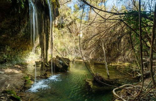 Alojamientos La Tercia - Foto 2