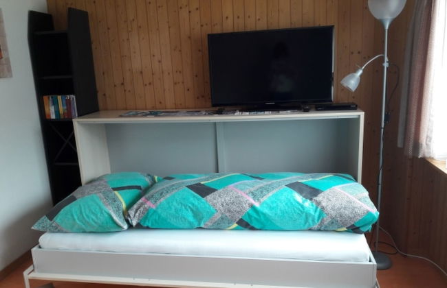 XXXTgèsa Hirundella - Foto 16