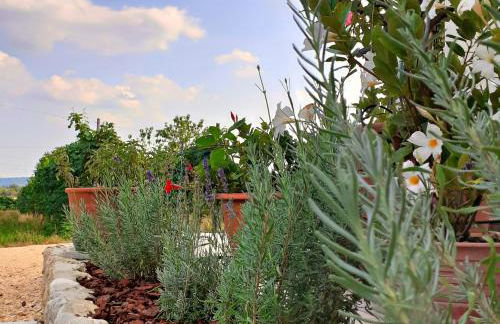 Le Vigne di Annalisa Sweet Relax Rooms in Unesco Prosecco D.o.c.g. - Foto 15