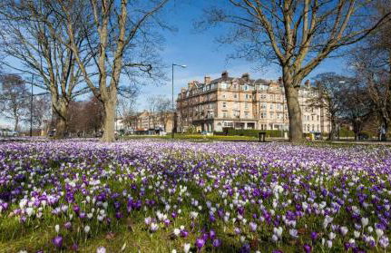 Superb 2 bedroom town apartment, quiet location - Photo 13