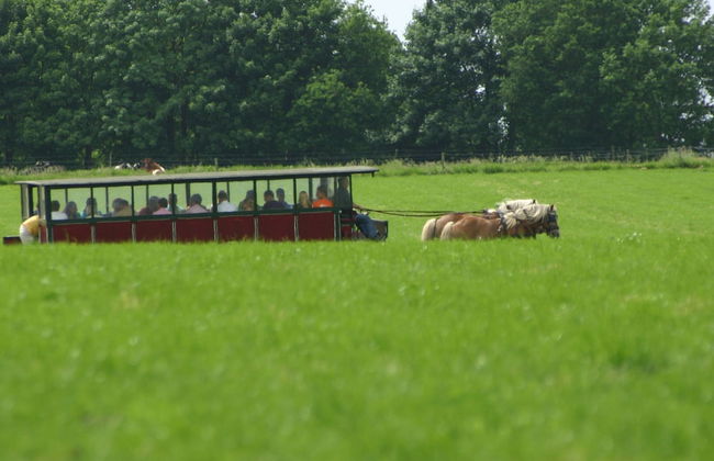 Chalet in Ootmarsum on Kuiperberg - Foto 21