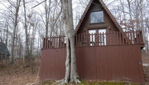 A-Frame Cabin #4 on Patoka Lake in Southern Indiana - Foto 3