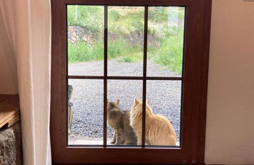 Bodega Linda - Foto 20