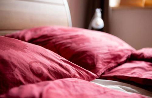 Orgelbauerhaus Schulze - Foto 28