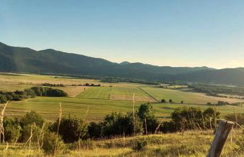 Apartman Crljenko - Foto 14