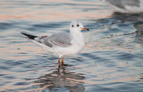 Nice Home In Rechlin With Sauna - Photo 23