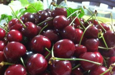 Sa Perda Lada - Foto 27