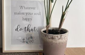 Puro São Jacinto - Foto 43