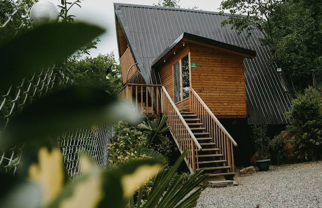 Thomas Hut - Foto 31