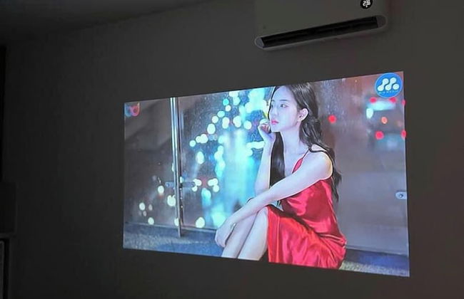 The Eudora Homestay - Photo 44