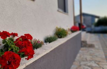 Yellow dream - Foto 8