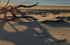 Peacehaven, Ynyslas, Borth - Photo 17