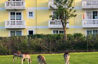 Bavaria Mountain Chalet DESIGN Ferienwohnung SKI Arber Osser Terrasse Sauna in Villa mit Bergblick bis 6 Pers - Foto 68