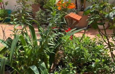 Figueres Center - Foto 36