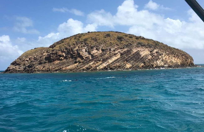 Snorkel en Providencia - Foto 7