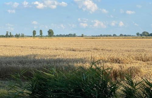 Ferienwohnung Santore - Foto 16