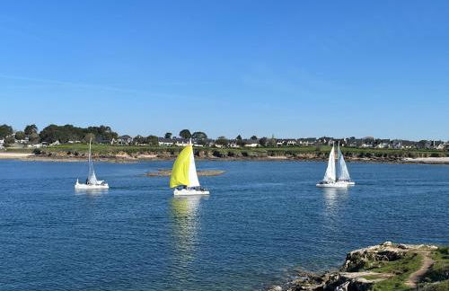 Appartement avec piscine Arzon - Foto 19