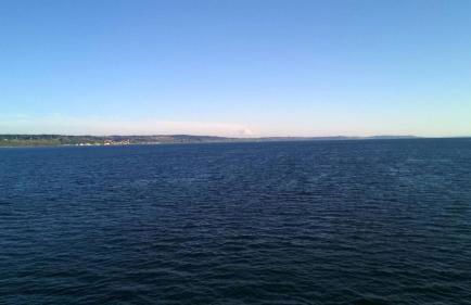 Hidden Gem, 3 Bed Cozy Condo - Dogs Welcomed - Foto 15