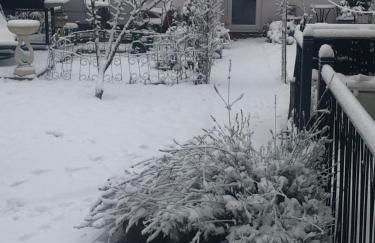 Rose Lodge - Photo 33