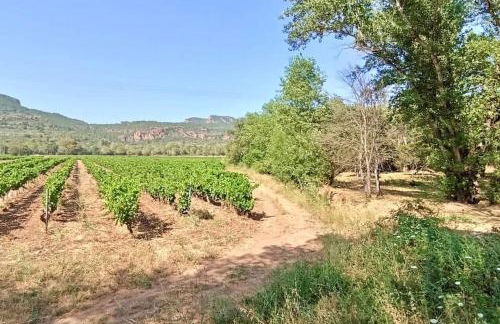 Superbe Villa Cadre campagne - Foto 8