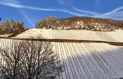 Ferienhaus rausZeit - Foto 20