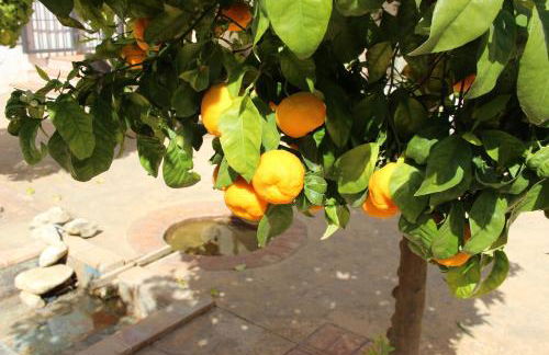 Casa del Riu - Foto 10